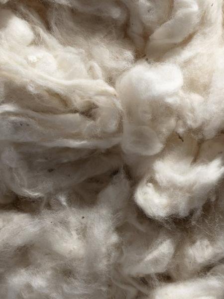 Harnest+Organic+Cotton+Inputs+1